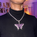 Temi's Rhinestone Butterfly Necklace